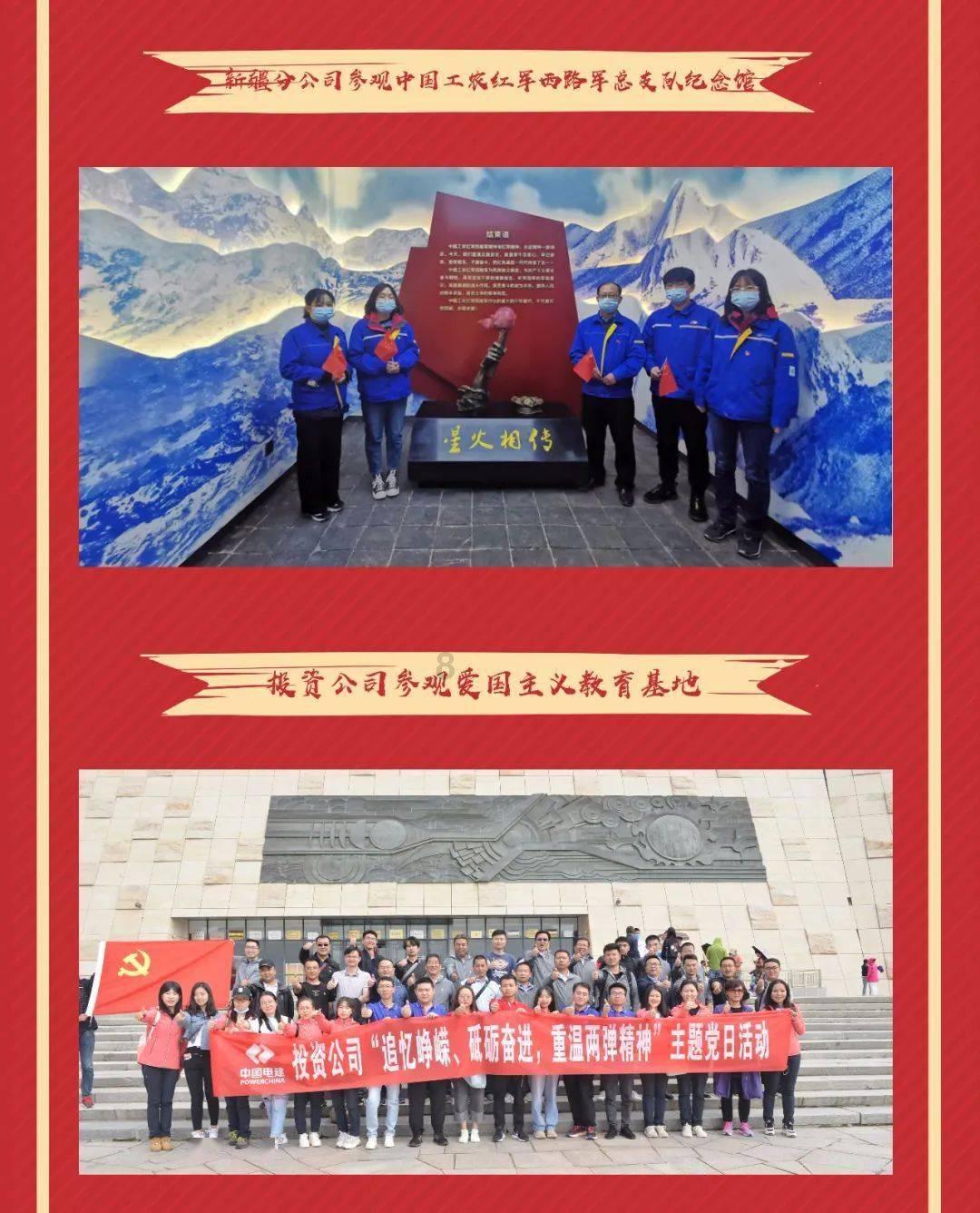 赤麻鸭现身青海门源县