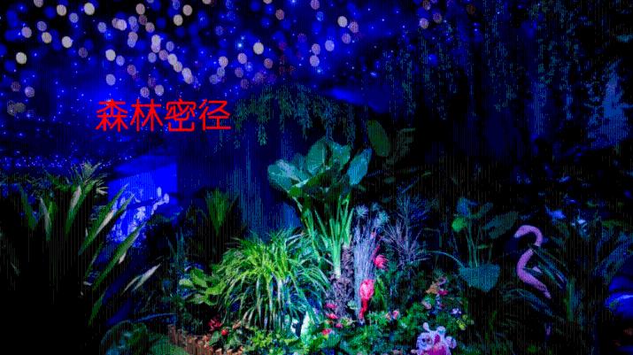 外星人回家大冒险